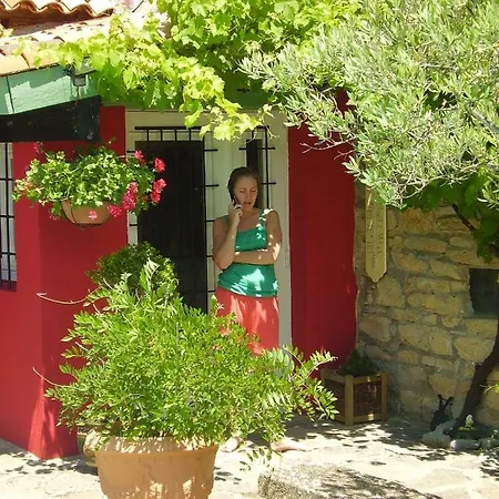 La Picholine Marjolaine * Courry